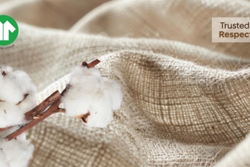 Back-end development