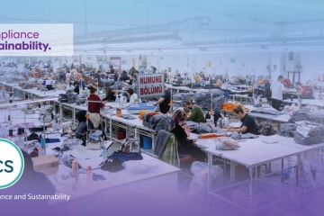 Back-end development